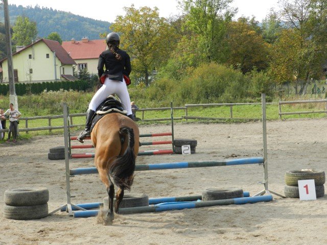 Babie Lato 2016